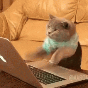 Cat frantically hitting keyboard